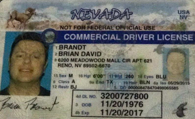 free nevada drivers license template
